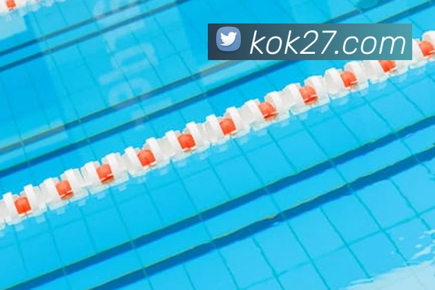 互动解说服务